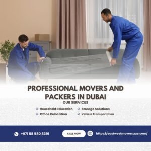 Why hiring professional movers and packers in Dubai makes moving stress-free