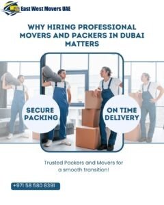 Professional movers and packers in Dubai ensuring safe home and office moves